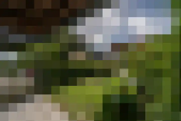 Van Ravesteyndreef 63 Barendrecht thumbnail 12