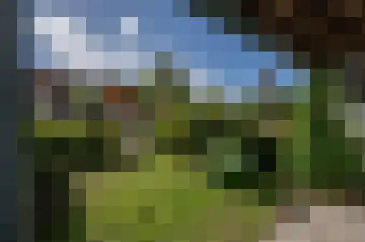 Van Ravesteyndreef 63 Barendrecht thumbnail 13