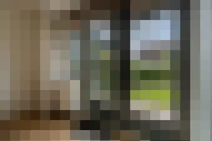 Van Ravesteyndreef 63 Barendrecht thumbnail 15