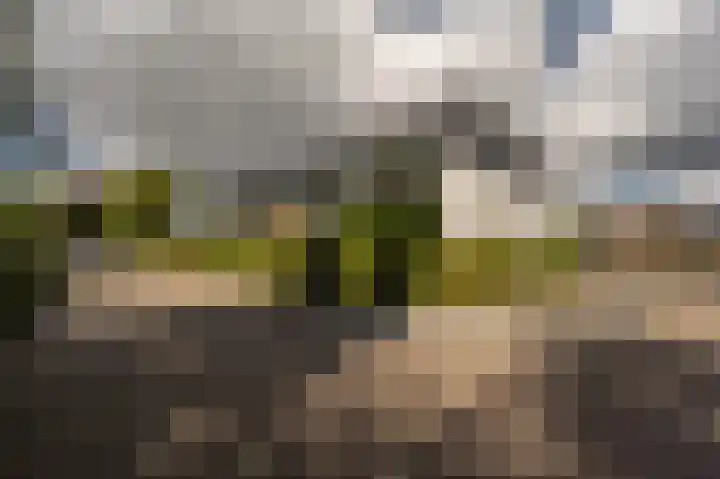 Van Ravesteyndreef 63 Barendrecht thumbnail 23