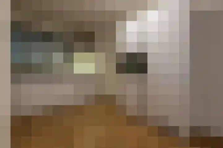 Van Ravesteyndreef 63 Barendrecht thumbnail 4
