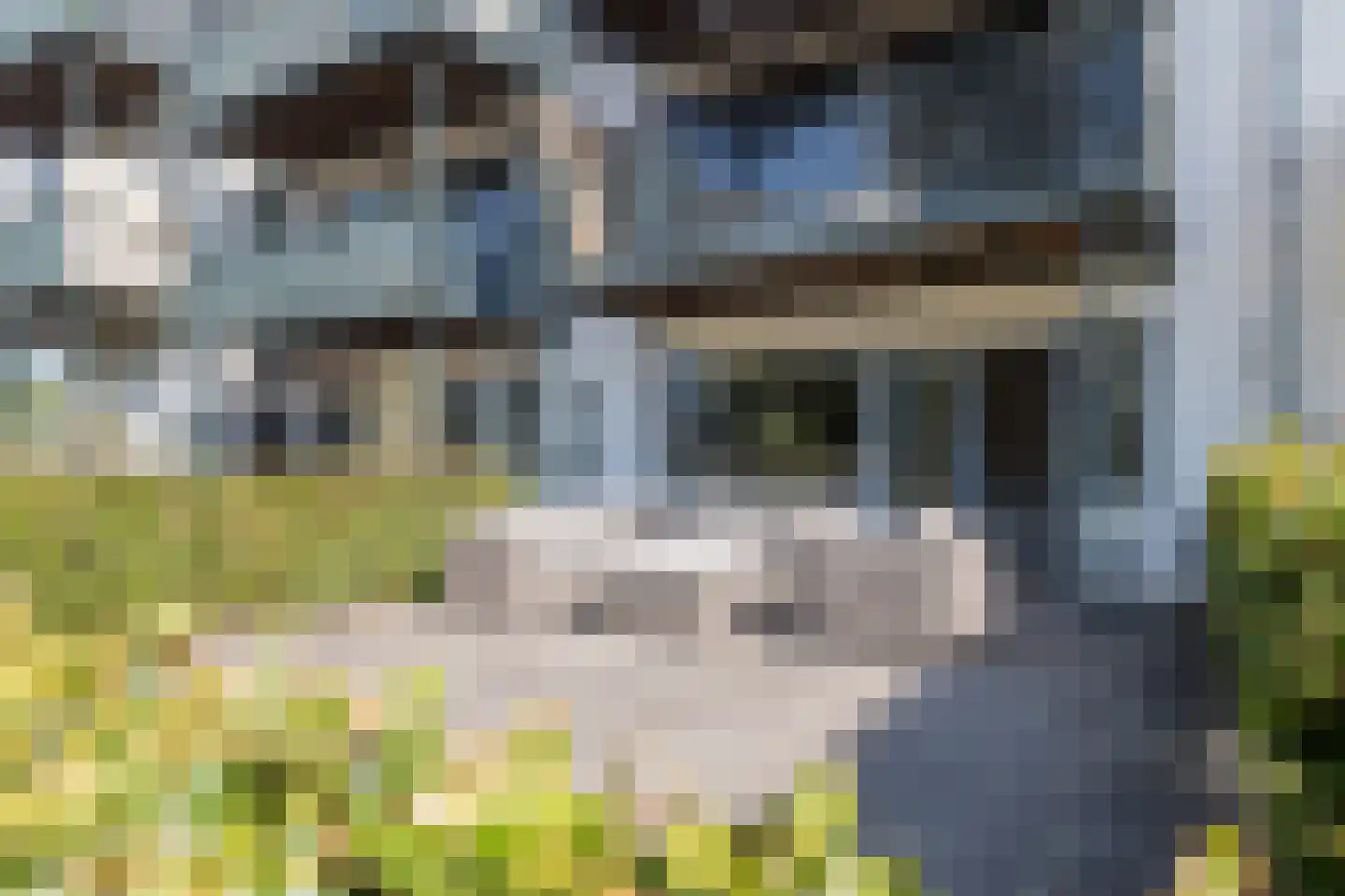 Van Ravesteyndreef 65 Barendrecht thumbnail 21