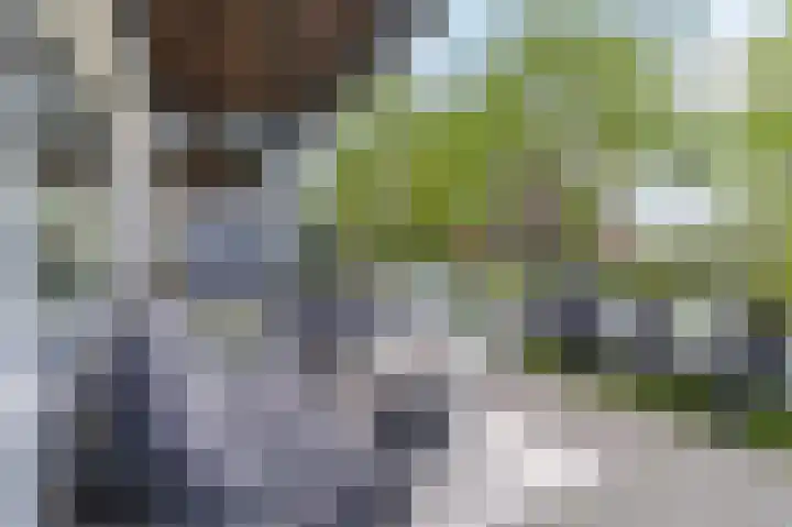Van Ravesteyndreef 77 Barendrecht thumbnail 22