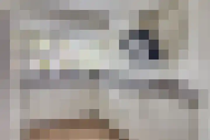 Van Ravesteyndreef 88 Barendrecht thumbnail 15