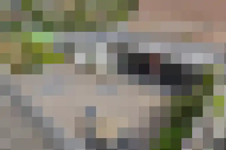 Van Ravesteyndreef 88 Barendrecht thumbnail 39