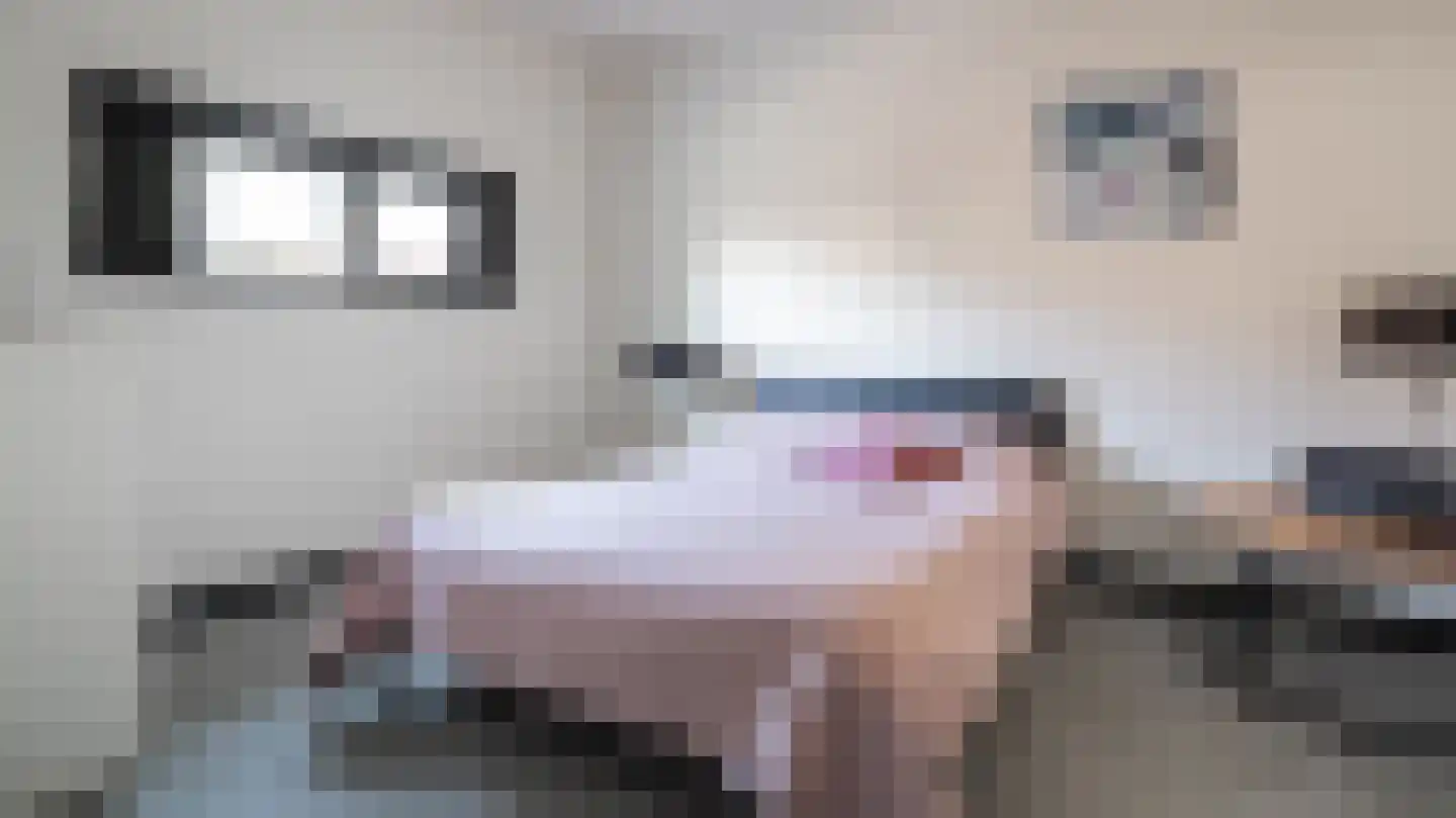 Van Ravesteynlaan 2 Almelo thumbnail 23