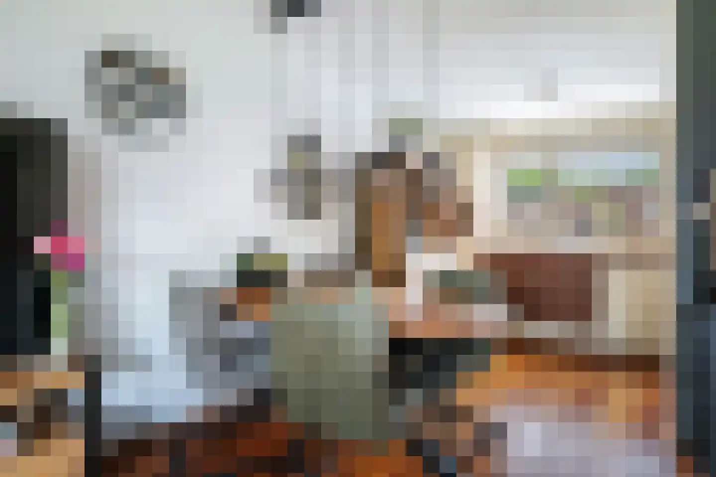 Van Ravesteynpad 11 Deventer thumbnail 11