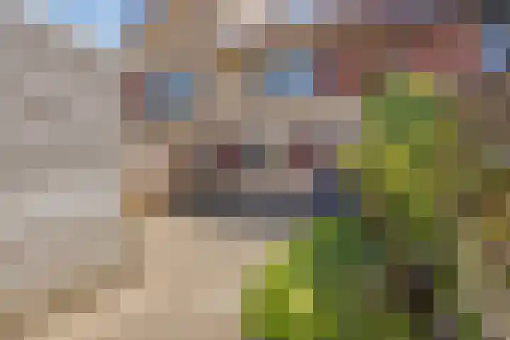 Van Ravesteynpad 41 Deventer thumbnail 24