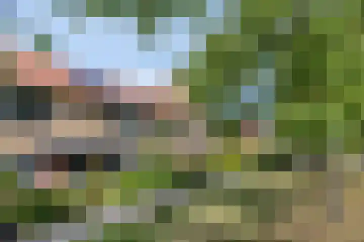 Van Ravesteynpad 41 Deventer thumbnail 32