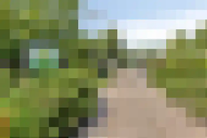 Van Ravesteynpad 41 Deventer thumbnail 33