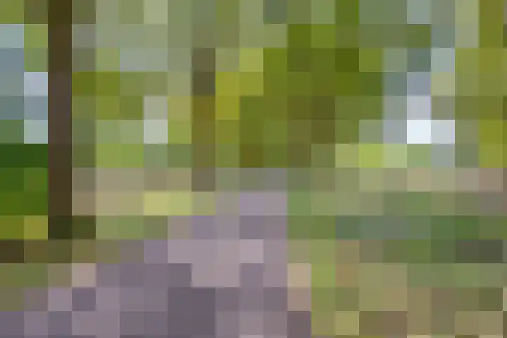 Van Ravesteynpad 41 Deventer thumbnail 34