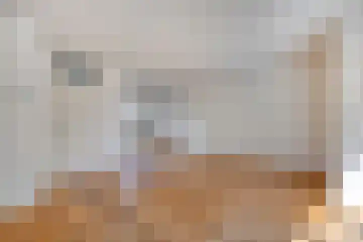 Van Ravesteynpad 41 Deventer thumbnail 5