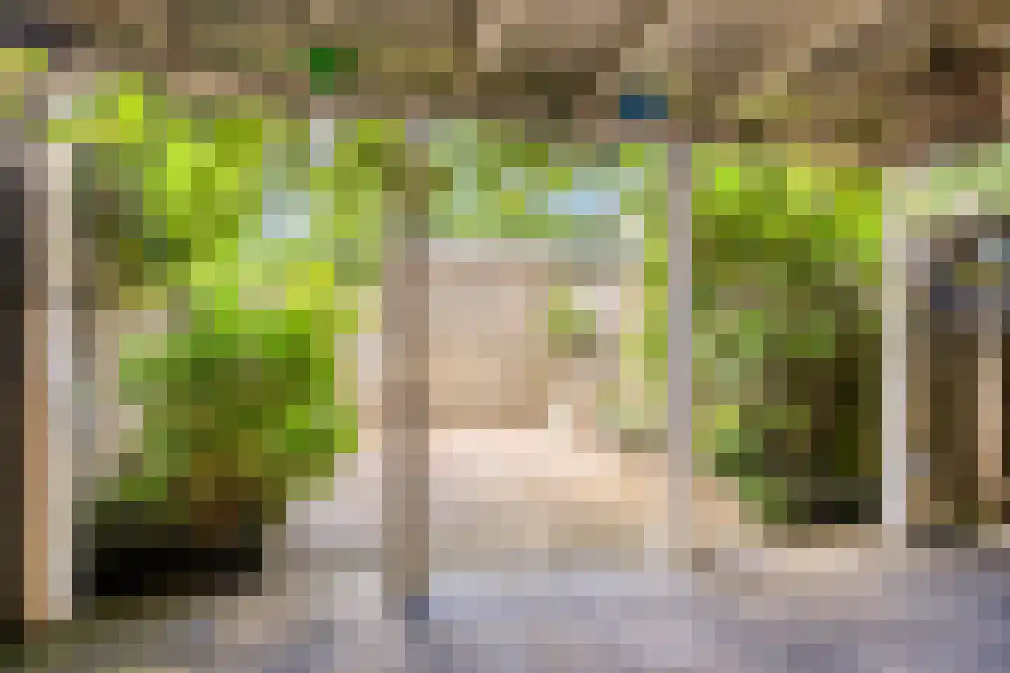 Van Ravesteynpad 65 Deventer thumbnail 27
