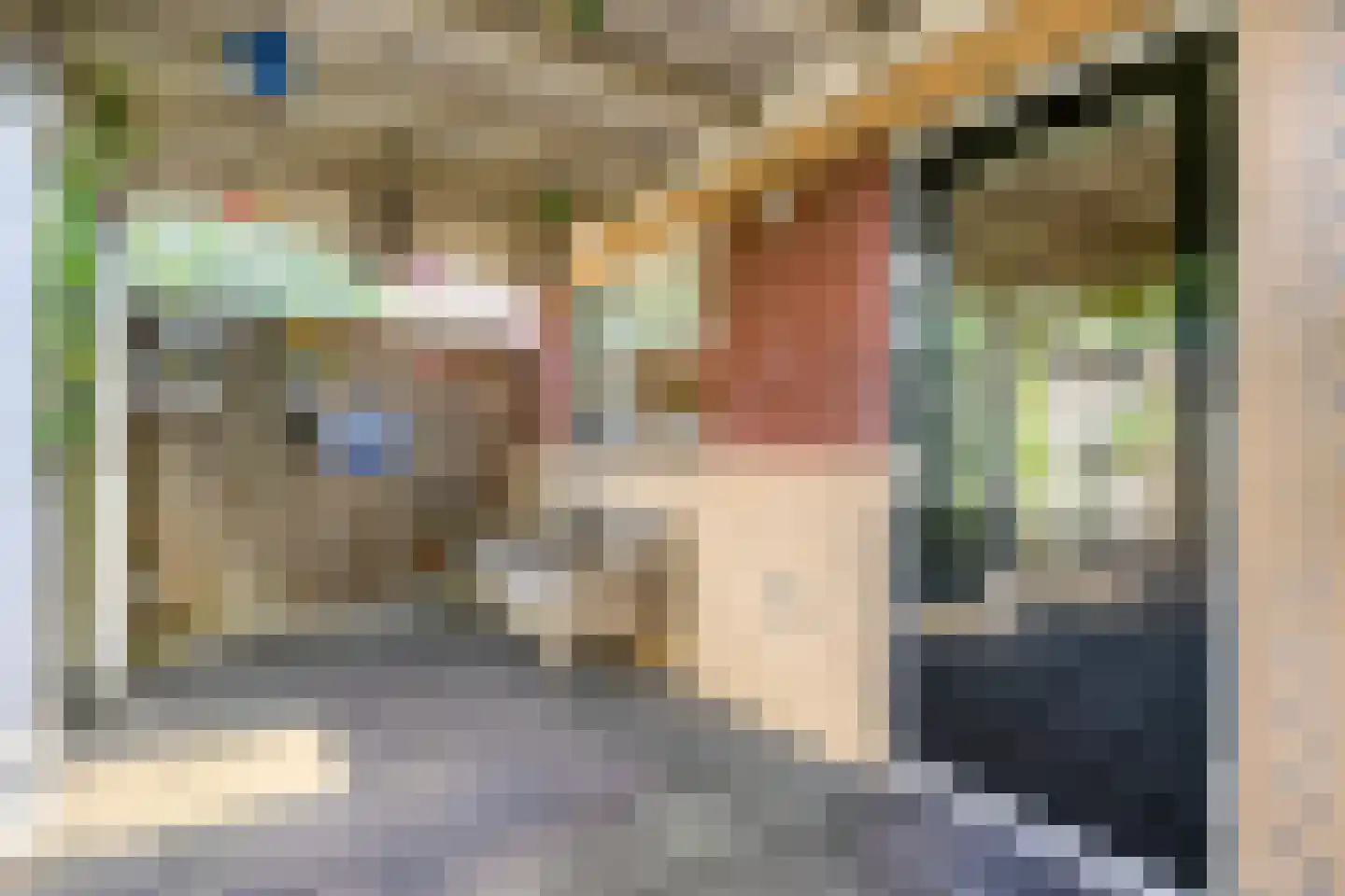 Van Ravesteynpad 65 Deventer thumbnail 28