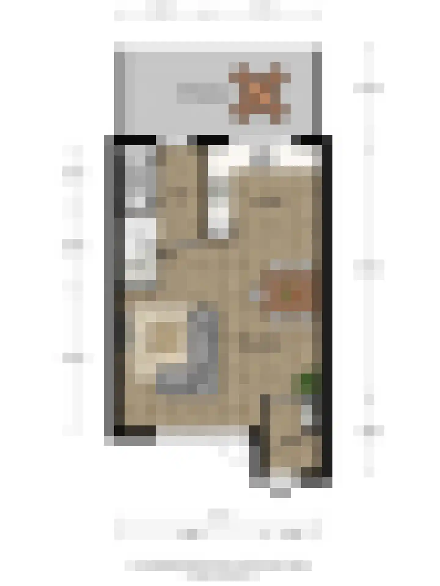 Van Ravesteynpad 65 Deventer thumbnail 37
