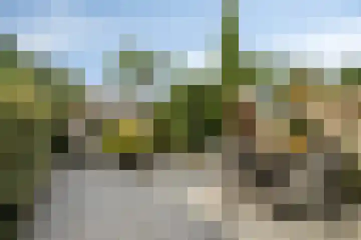 Van Ravesteynplan 27 Zoetermeer thumbnail 17