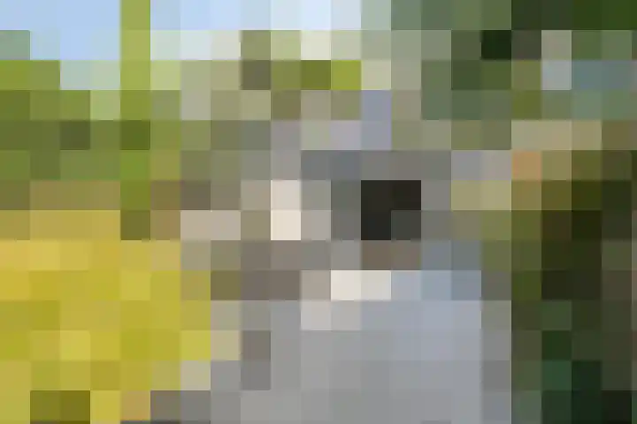 Van Ravesteynplan 27 Zoetermeer thumbnail 18