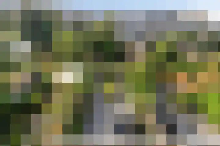 Van Ravesteynplan 27 Zoetermeer thumbnail 19