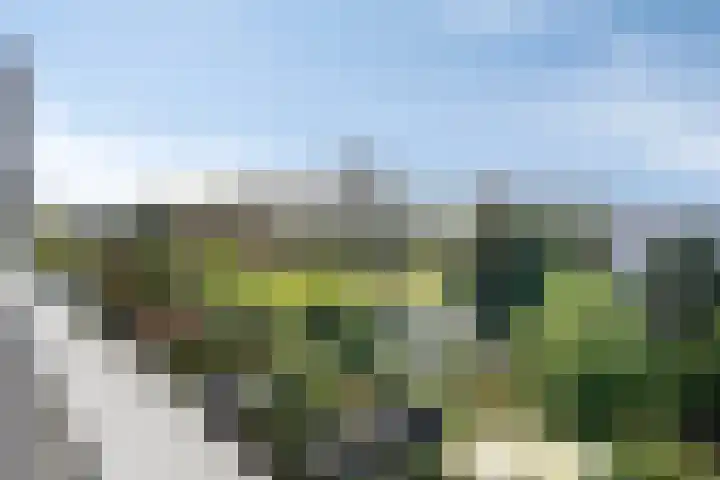 Van Ravesteynplan 27 Zoetermeer thumbnail 35