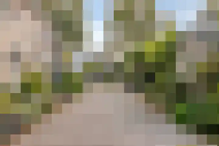 Van Ravesteynplan 27 Zoetermeer thumbnail 37