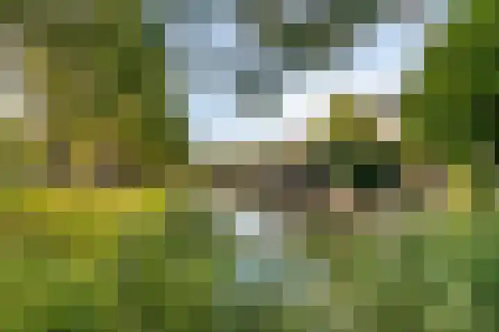Van Ravesteynplan 27 Zoetermeer thumbnail 40