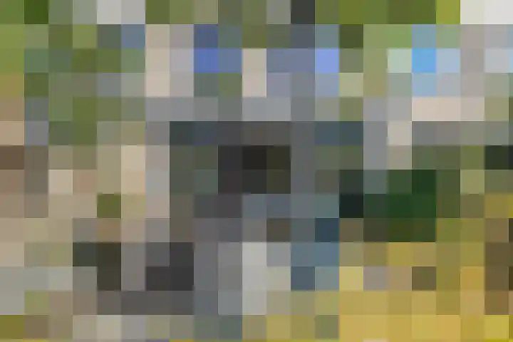 Van Ravesteynplan 27 Zoetermeer thumbnail 6