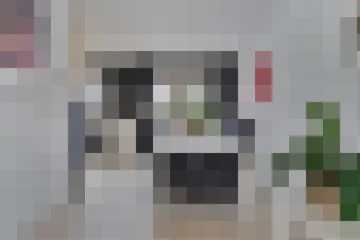 Van Rechterenallee 30 Hardenberg thumbnail 11