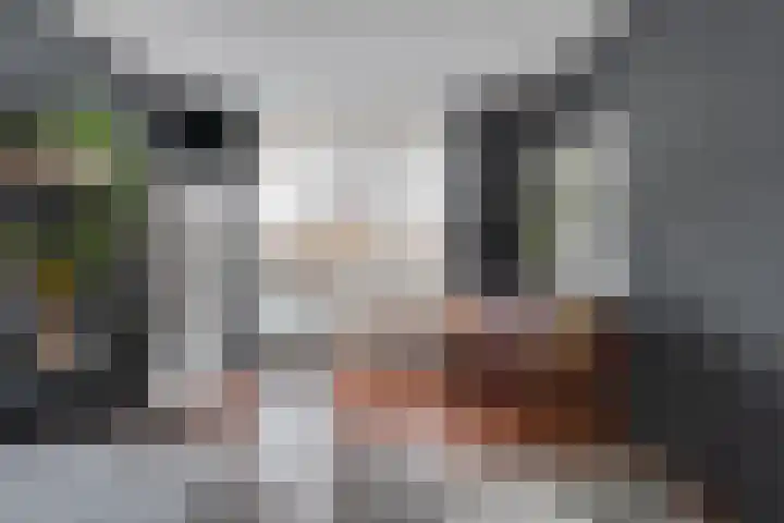Van Rechterenallee 30 Hardenberg thumbnail 22
