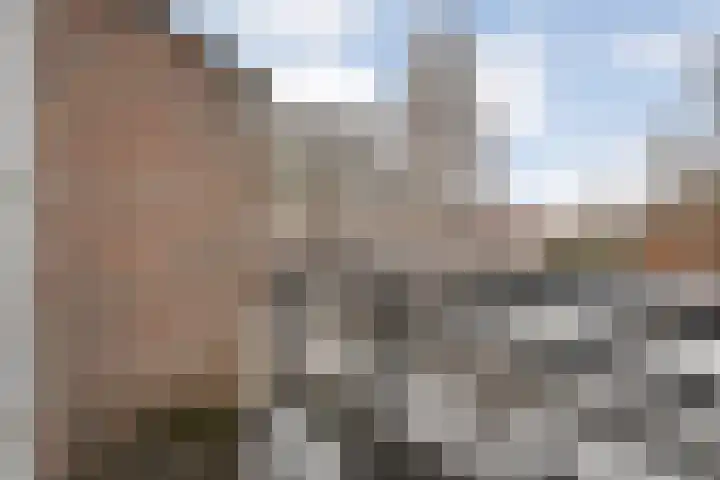 Van Rechterenallee 30 Hardenberg thumbnail 25