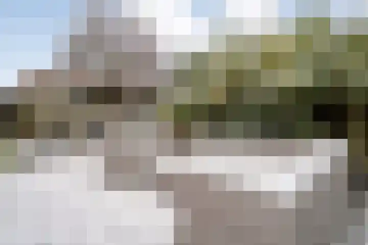 Van Rechterenallee 30 Hardenberg thumbnail 36