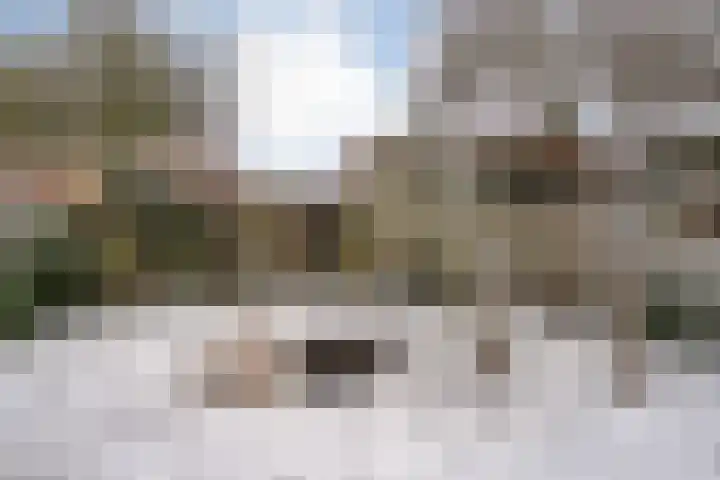 Van Rechterenallee 30 Hardenberg thumbnail 37