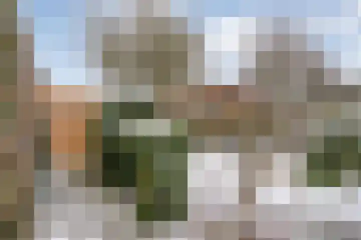 Van Rechterenallee 30 Hardenberg thumbnail 39