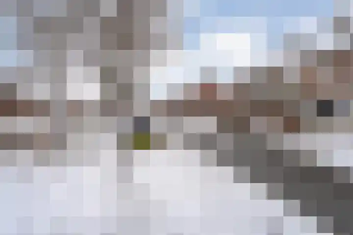 Van Rechterenallee 30 Hardenberg thumbnail 41