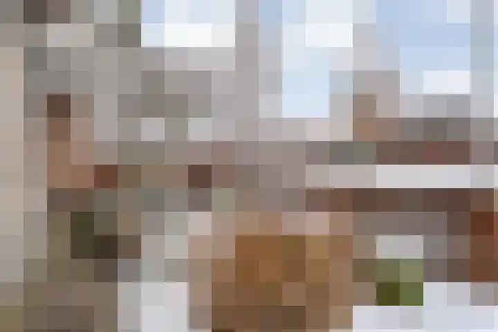 Van Rechterenallee 30 Hardenberg thumbnail 46