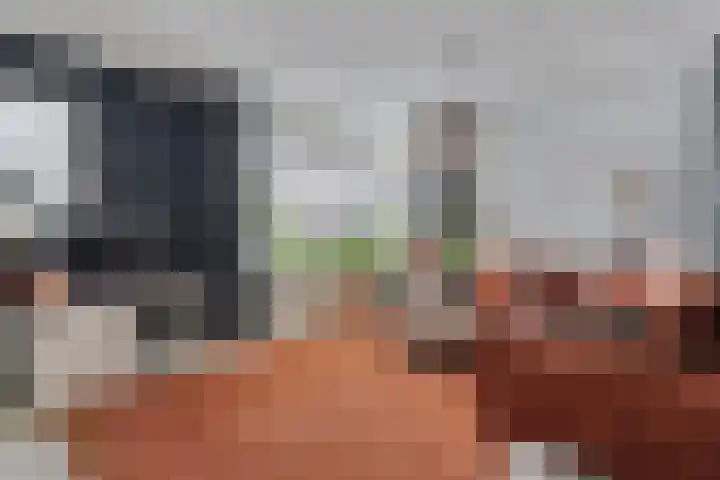 Van Rechterenallee 30 Hardenberg thumbnail 6