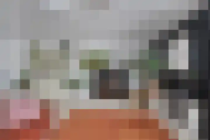 Van Rechterenallee 30 Hardenberg thumbnail 9