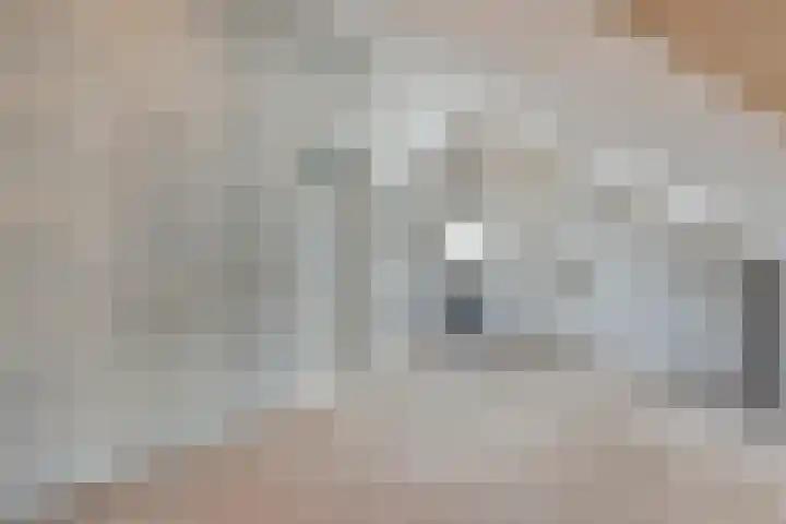 Van Rechterenallee 56 Hardenberg thumbnail 35