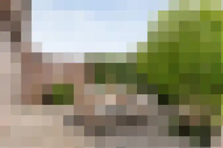 Van Rechterenallee 56 Hardenberg thumbnail 41