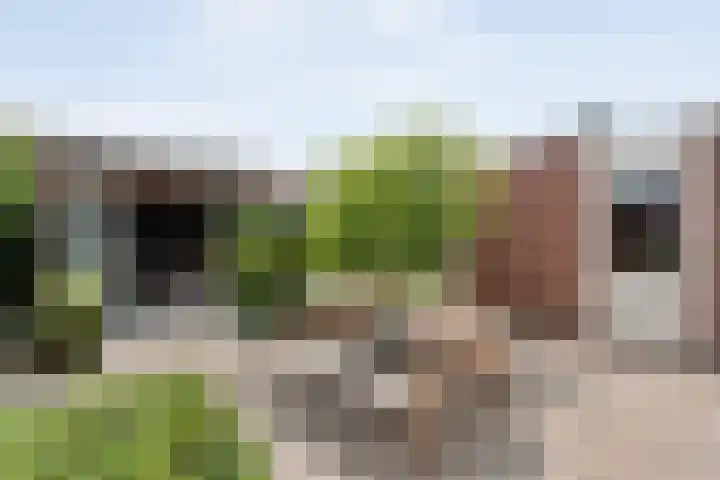 Van Rechterenallee 56 Hardenberg thumbnail 42
