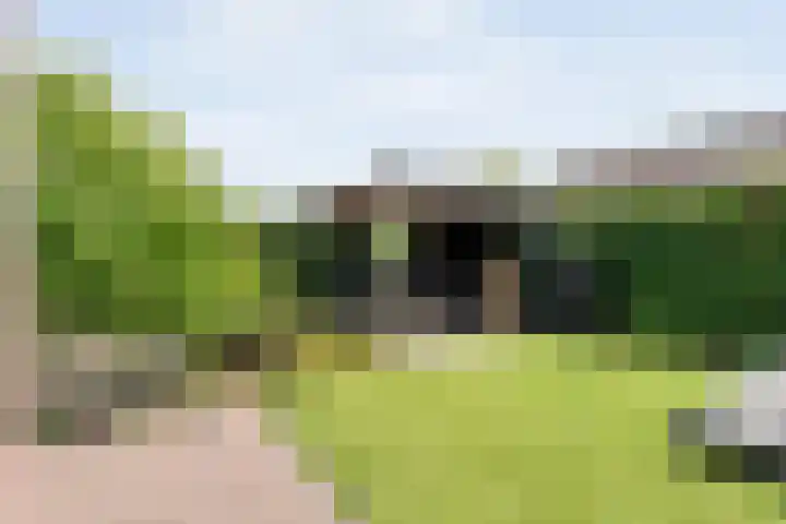 Van Rechterenallee 56 Hardenberg thumbnail 43