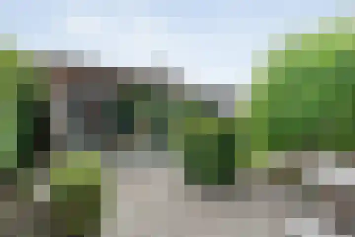 Van Rechterenallee 56 Hardenberg thumbnail 45