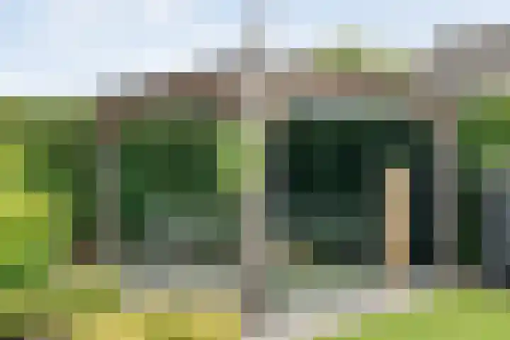 Van Rechterenallee 56 Hardenberg thumbnail 46