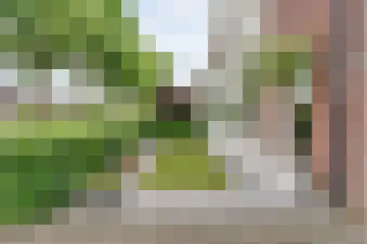 Van Rechterenallee 56 Hardenberg thumbnail 5