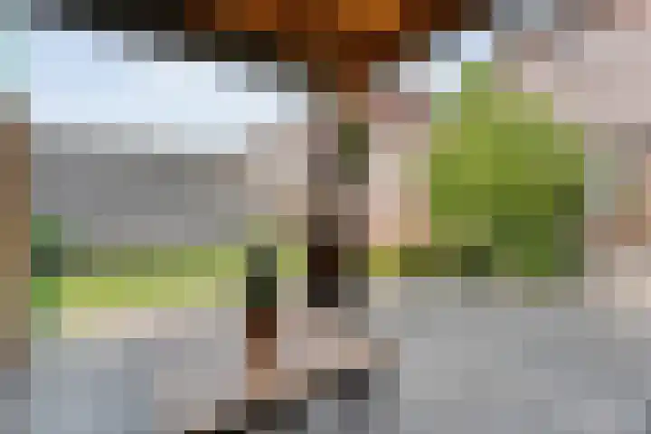 Van Rechterenallee 56 Hardenberg thumbnail 51