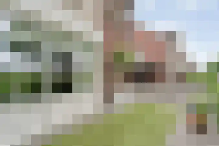 Van Rechterenallee 56 Hardenberg thumbnail 53