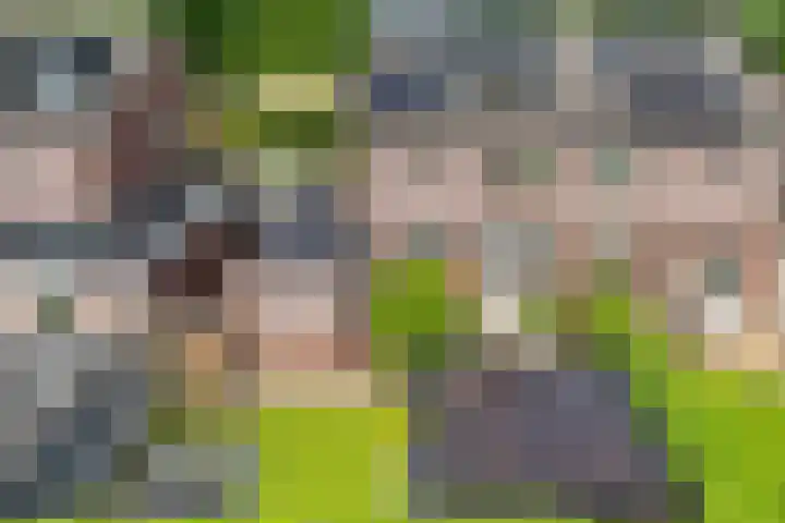 Van Rechterenallee 56 Hardenberg thumbnail 56