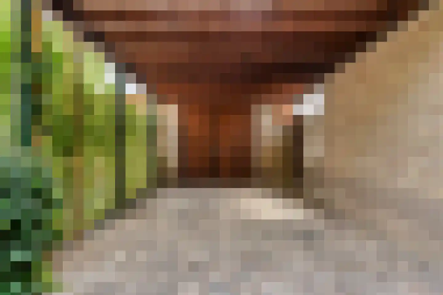 van Rechterenlaan 20 Grave thumbnail 10