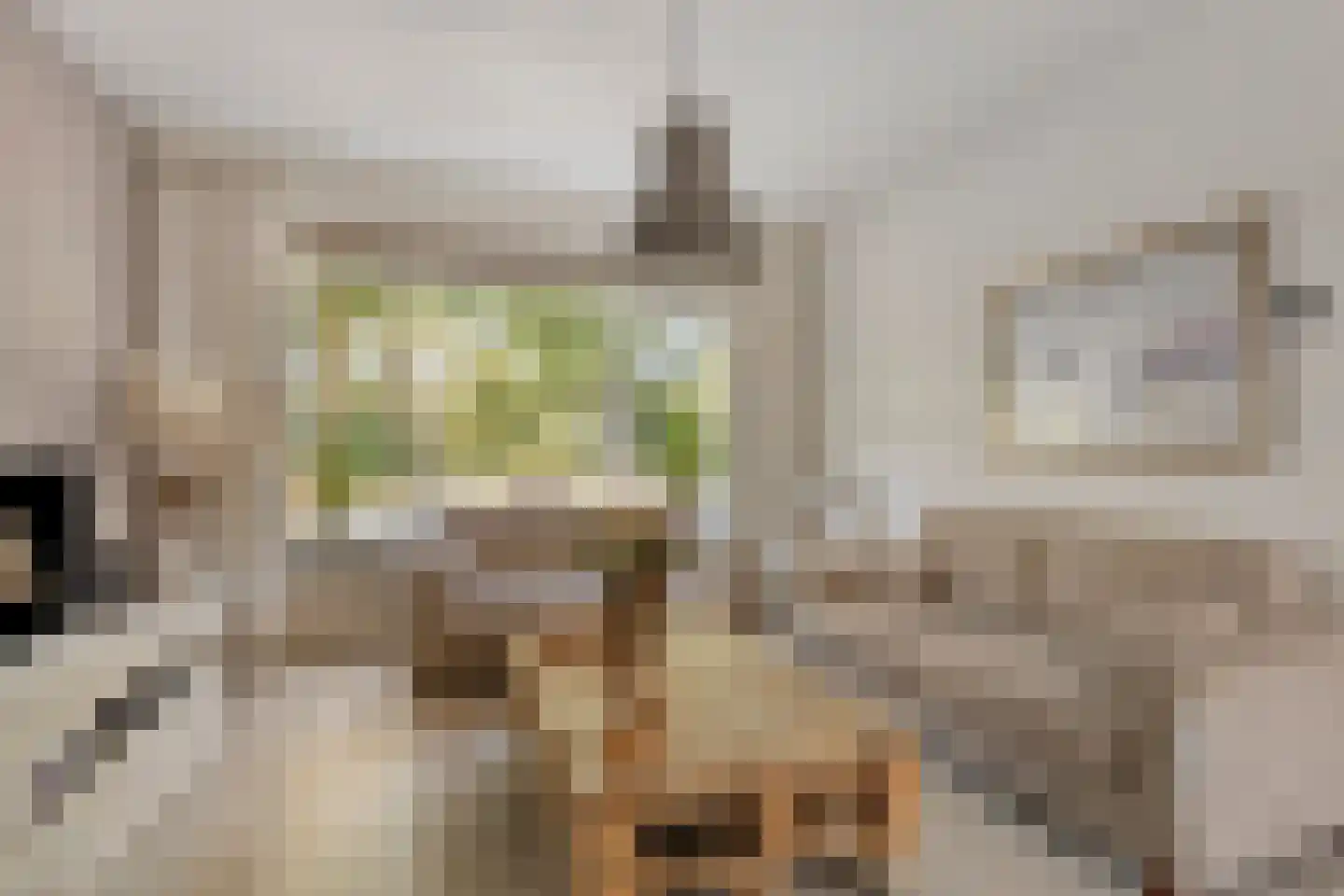 van Rechterenlaan 20 Grave thumbnail 16