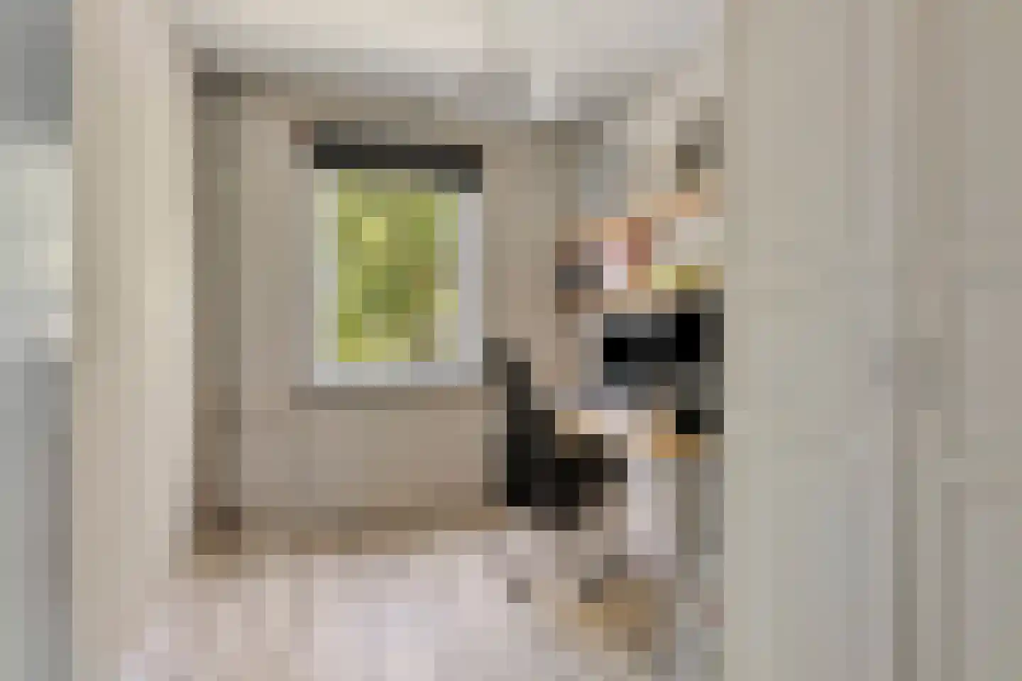 van Rechterenlaan 20 Grave thumbnail 27