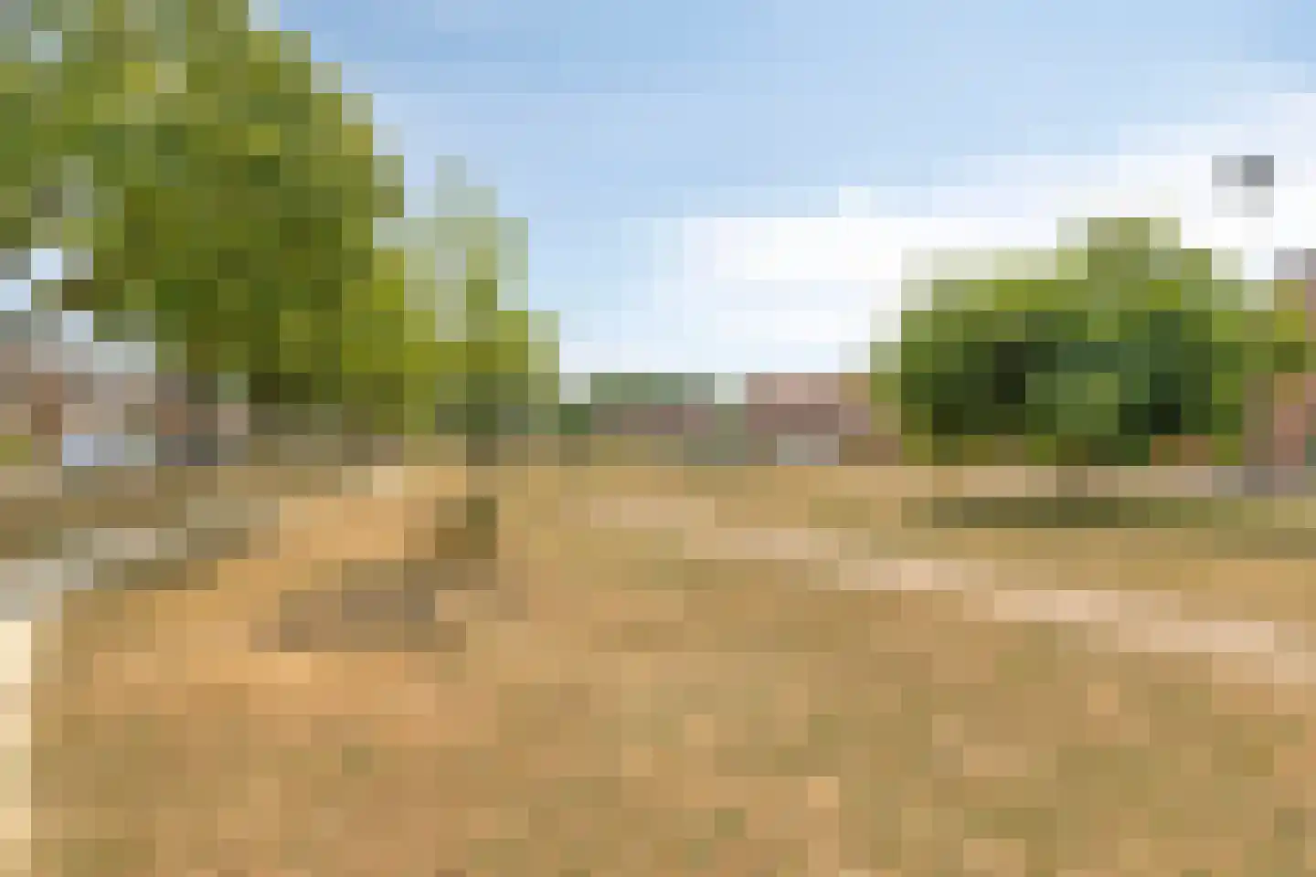 van Rechterenlaan 20 Grave thumbnail 40